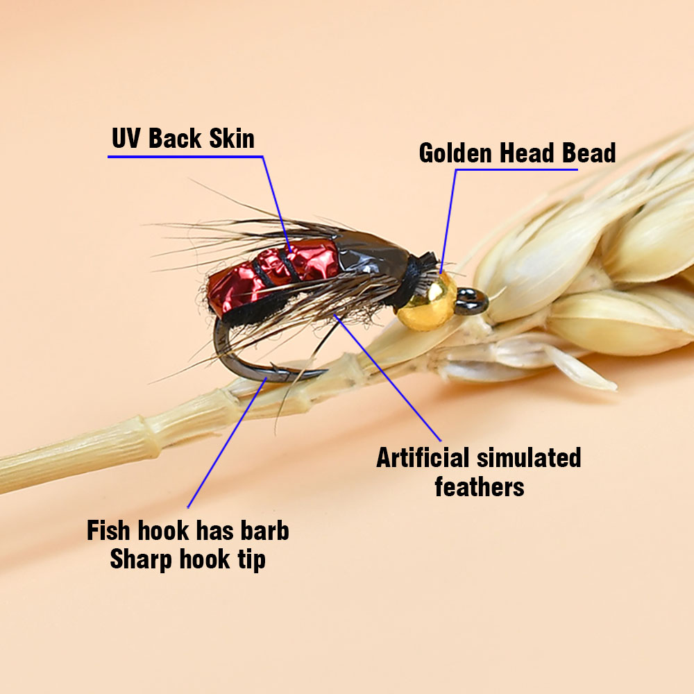 MNFT 10Pcs Fast Sinking Bead H - đánh giá và giá Fishing Equipment Kit