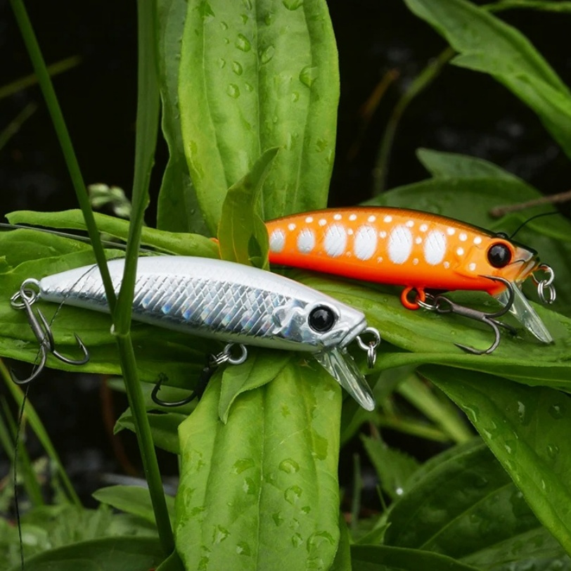 TSURINOYA 10PCS 51mm 5.8g Intr - đánh giá và giá Fishing Equipment Kit